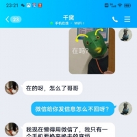 可爱的小度娘